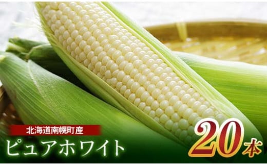 《令和6年発送 先行予約》北海道産 とうもろこし ピュアホワイト20本 朝採れ 一番果 産地直送 数量限定 期間限定 NP1-172