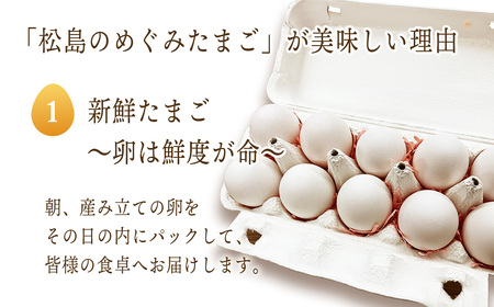 No.165 松島のめぐみたまご 40個入り 6ヵ月定期便