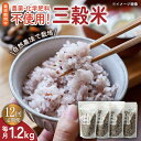 【ふるさと納税】【12回定期便】自然農法で育てた 三穀米 1.2kg（300g×4袋）/永尾 忠則[UAS016]