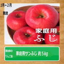 【ふるさと納税】りんご 【1～2月発送】【訳あり】家庭用 サンふじ 約5kg 糖度13度以上（糖度証明書付き）【 弘前市産 青森りんご 】　 果物類 フルーツ スイーツ こだわり 甘い ジューシー 香り 高糖度 美味しい 　お届け：2025年1月10日～2025年2月28日