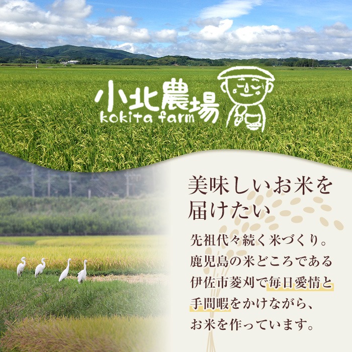 isa601 ＜先行予約受付中！2025年10月より順次初回発送＞《数量限定・3回定期便》令和7年産 小北農場の新米 伊佐黄金米〈ヒノヒカリ〉(計15kg・5kg×1袋×3回) 鹿児島 伊佐 新米 お米 特別栽培米 伊佐米 白米 ヒノヒカリ ひのひかり おにぎり ごはん 【小北農場】
