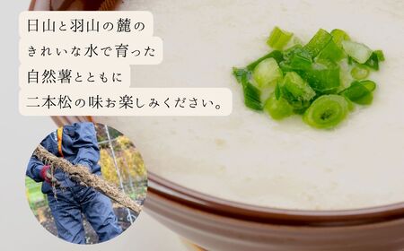 そば 3食 つゆ付｜そば