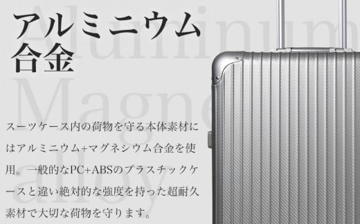 [PROEVO] アルミスーツケース フレームキャリー 機内持ち込み対応サイズ S(ジオメトリック/ブラック) [30001] 福岡県 大木町 株式会社 レクサス AY326