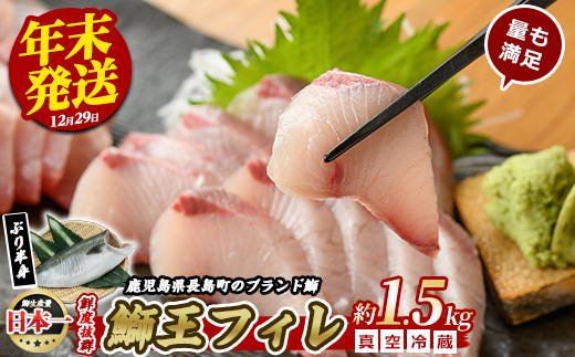 ＜数量限定＞【12月29日発送】ぶりの王様「 鰤王 」 フィレ (約1.5kg・フィレ1枚) 産地直送 新鮮 旨味が抜群の 長島町 特産品 ブランド ぶり 鰤 ブリ 切り身 真空 冷蔵 刺身 ぶりしゃ