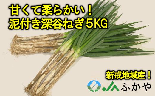 
JAふかや　農家直送　深谷ねぎ泥付き5kg（保存袋入り）　【11218-0412】
