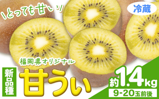 甘うぃ 約1.4kg 9ー20玉前後《10月中旬-11月末頃出荷》福岡県 鞍手郡 鞍手町 キウイフルーツ キウイ 福岡県オリジナル 新品種 甘うぃ 果物 くだもの フルーツ【配送不可地域あり】
