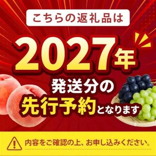 2027年発送先行受付【果汁溢れるクセになる新感覚】マンゴーネクタリンやみつきリピーター続出中【配送不可地域：離島・北海道・沖縄県・中国・四国・九州】【1468753】