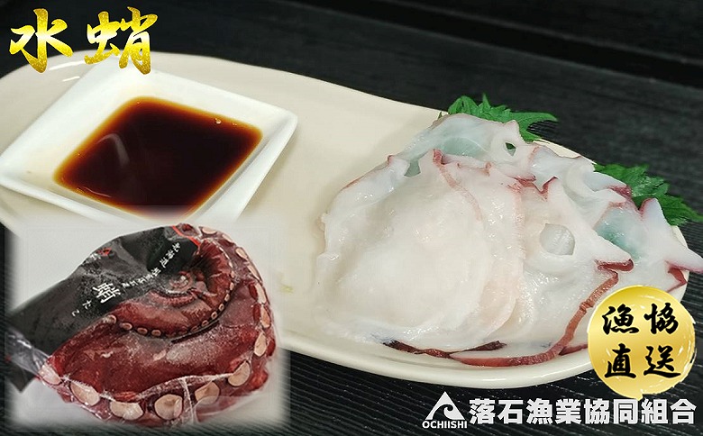 【北海道根室産】ボイル水たこ足先3P(計1kg) A-20008