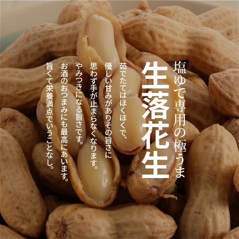 【2026年発送】事前予約 やみつき極うま “金の生落花生” 1kg(500g×2袋) 生ピーナッツ 塩ゆで専用　H105-141