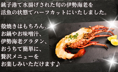 伊勢海老 ハーフカット 2枚 イセエビ 海老 えび パーティー グリル パスタ グラタン 簡単調理 調理 かんたん 簡単 冷凍 冷凍食品 無添加 新鮮 地魚 海鮮 魚貝 魚介 魚 おかず おつまみ 惣
