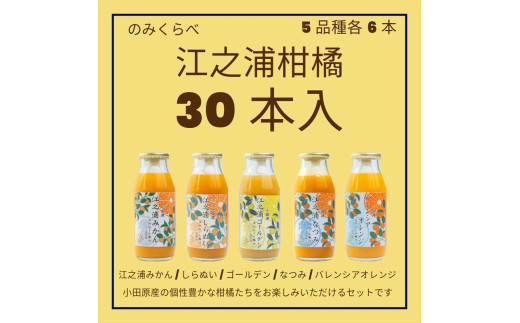 小田原産江之浦みかんジュース５種のみくらべ３０本セット うんしゅう・しらぬい・ゴールデン・なつみ・バレンシアオレンジ１００％ストレートジュース１８０ml各６本合計３０本 142069_GJ102
