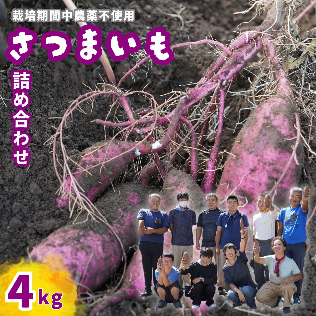 【ふるさと納税】＜数量限定50箱＞さつまいも 詰合せ 4kg | さつまいも 紅はるか 生芋 栽培期間中農薬不使用 甘いさつまいも 焼き芋用 蒸し芋用 スイートポテト材料 産地直送 おうちごはん 季節の味覚 料理用 天然スイーツ メガテラフーズ 埼玉県 東松山市