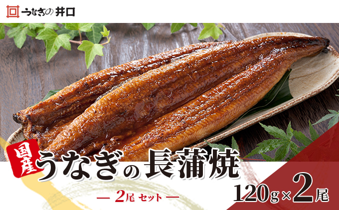 国産うなぎ 蒲焼き 2尾 (120g×2尾) 山椒 たれ セット 詰め合わせ うなぎの井口 国産ウナギ 国産 うなぎ 鰻 蒲焼き うなぎの蒲焼 鰻の蒲焼き 小分け おすすめ 贈答用 ギフト 冷蔵 静岡 静岡県 浜松市 【配送不可：離島】