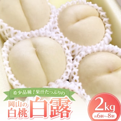 【2026年9月上旬より発送予定】希少品種・果汁たっぷりの岡山の白桃・白露(2kg箱)【配送不可地域：離島】【1543248】