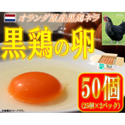 
            水野谷鶏卵店　黒鶏の卵　50個入り(Mサイズ)【1503069】
          