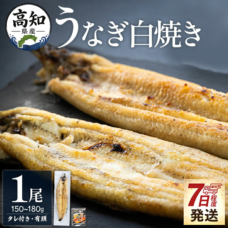 【ふるさと納税】【7日程度で発送】高知県産うなぎの白焼き 1尾（150〜180g）タレ付き エコ包装 - お中元 訳あり 鰻 ウナギ 有頭 つまみ ご飯のお供 簡易包装 父の日 unagi 家庭用 老舗 国産 早い スピード発送 7日程度 早く 届く 土佐湾 吉川水産 高知県 香南市【冷凍】