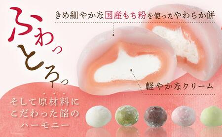 やわらかクリーム大福 5種23個  | 大福 食べ比べ 冷凍 訳あり 簡易包装 生クリーム 和 ギフト プレゼント 有限会社サカイ食品 GC014