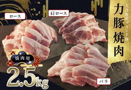 【国産】力豚 豚肉 焼肉3種 2.5kg (バラ900g 肩ロース600g ロース1kg) 焼き肉