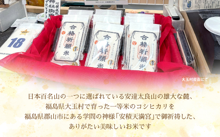 合格祈願米 コシヒカリ 真空米 2合 ( 300g ) × 1個 【令和7年産】 受験 御利益 ご祈祷 合格 合格祈願 小分け 使い切り 5000円 ５０００円以下 福島県 大玉村