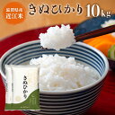 【ふるさと納税】近江米 きぬひかり 白米10kg 令和6年産 送料無料 近江 米 BD02