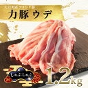 【ふるさと納税】【高知県 大月町産ブランド豚】力豚　ウデ肉1.2kg