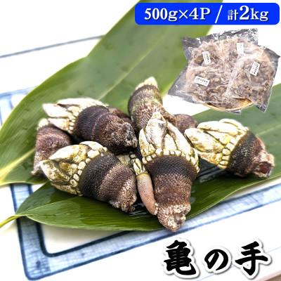 ふるさと納税 新温泉町 亀の手　500g×4袋　計2kg　兵庫県新温泉町　