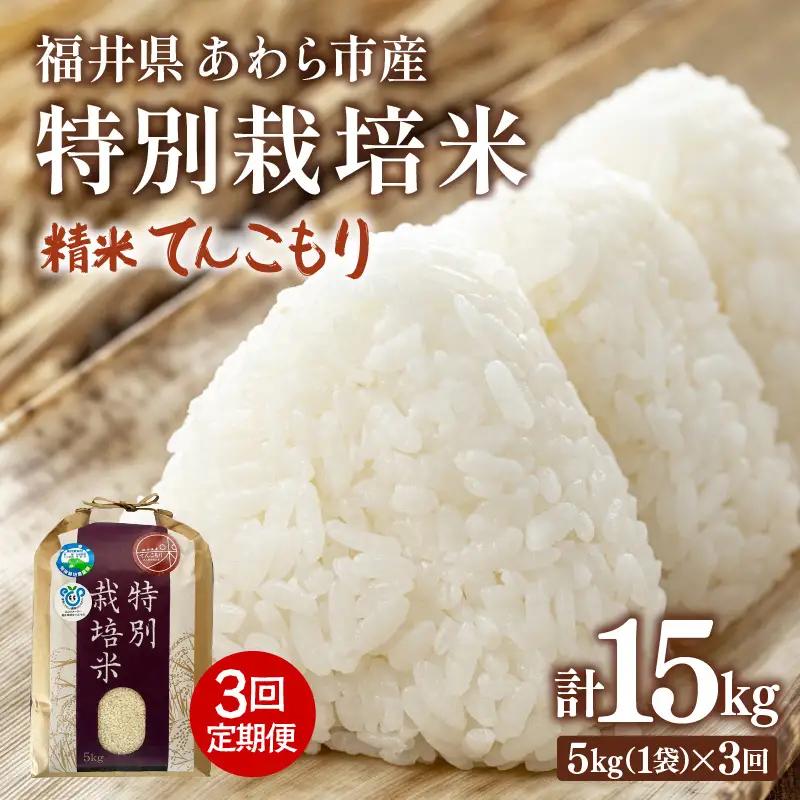 【先行予約】【令和8年産】定期便 ≪3ヶ月連続お届け≫ 化学肥料不使用 てんこもり 精米 5kg × 3回（合計15kg） / 白米 米 福井県あわら市産 美味しい 特別栽培米 減農薬 安心な米 旨味 甘み もっちり 冷蔵保管米 ※2026年10月上旬以降順次発送 [aw010-b031]