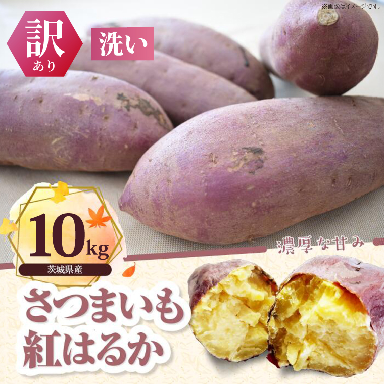 【先行予約】【2026年11月より順次発送開始】【訳あり】紅はるか 約10kg｜さつまいも 芋 お芋 わけあり 訳あり 紅はるか タネのハシモト 茨城県 行方市(BS-23)