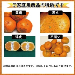【順次発送中】訳あり ハウスみかん 約1.5kg | みかん【VEG047】
