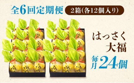 【6回定期便】お菓子 はっさく大福12個入×2　 お菓子 大福 八朔 柑橘 みかん オレンジ 餅 ギフト お取り寄せ スイーツ フルーツ大福 ご当地 菓子 おかし デザート 食品 人気 おすすめ 広島