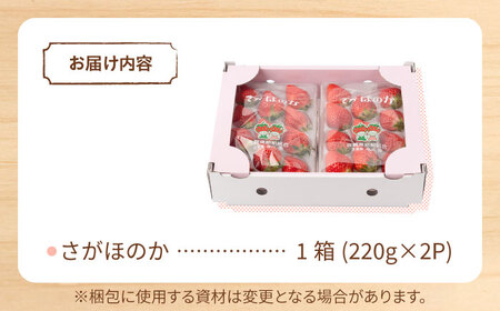 先行予約 2027年1月～発送 白石産いちご「さがほのか」 220g×2パック 【岸川農園】[IAP048]