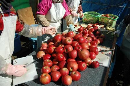 【五枚橋ワイナリー】林檎ワイン 和食に合う2本セット（ジョナゴールド）