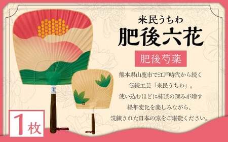 来民うちわ 肥後六花 「 肥後芍薬 」 うちわ 伝統工芸 縁起物 防虫効果 伝統技法 雑貨 生活雑貨