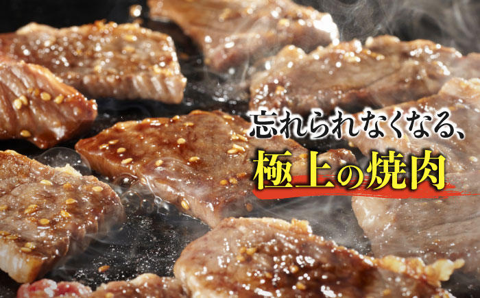 【希少部位で焼肉を堪能！】佐賀牛希少部位おまかせ4種バラエティセット800g（4種×200g）【ミートフーズ華松】 [FAY041]