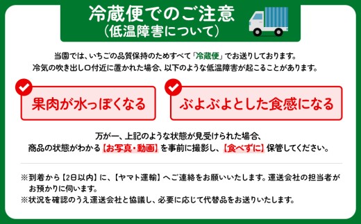 【いちご博総合大賞】やよいひめ 約400g | いちご 苺 イチゴ ストロベリー 冷蔵 甘い 新鮮 完熟 大粒 果物 フルーツ 産地直送 農家直送 国産 人気 おすすめ 高級 ギフト 贈答 プレゼント お祝い 大賞受賞 高評価 群馬県 伊勢崎市 先行受付 先行予約 ※2027年1月～発送