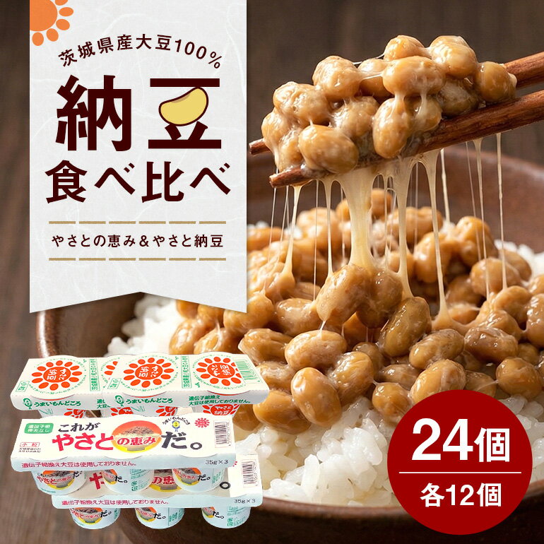 【ふるさと納税】 これがやさとの恵みだ&やさと納豆 24食 セット 八郷産 大豆 100％ 小粒 納豆 食べ比べセット 食べ比べ 納豆ごはん 納豆巻き 環境に優しい紙パック 茨城県 石岡市 (A36-001)