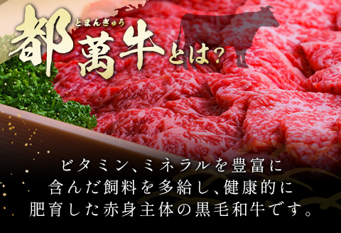 黒毛和牛＜都萬牛＞ロースすきしゃぶ 300g×2パック 計600g すきやき しゃぶしゃぶ【C384-2603】