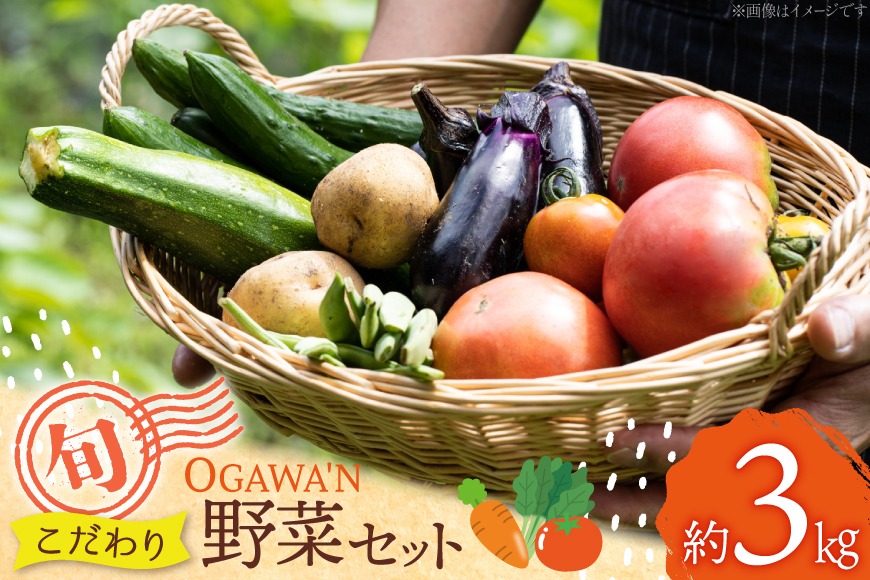 野菜 詰め合わせ 約3kg OGAWA'N [JA埼玉中央 埼玉県 小川町 135] やさい セット 野菜セット 詰合せ
