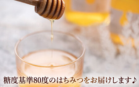 【BEAMS JAPAN監修】ビギナーズセット(白)【1354130】