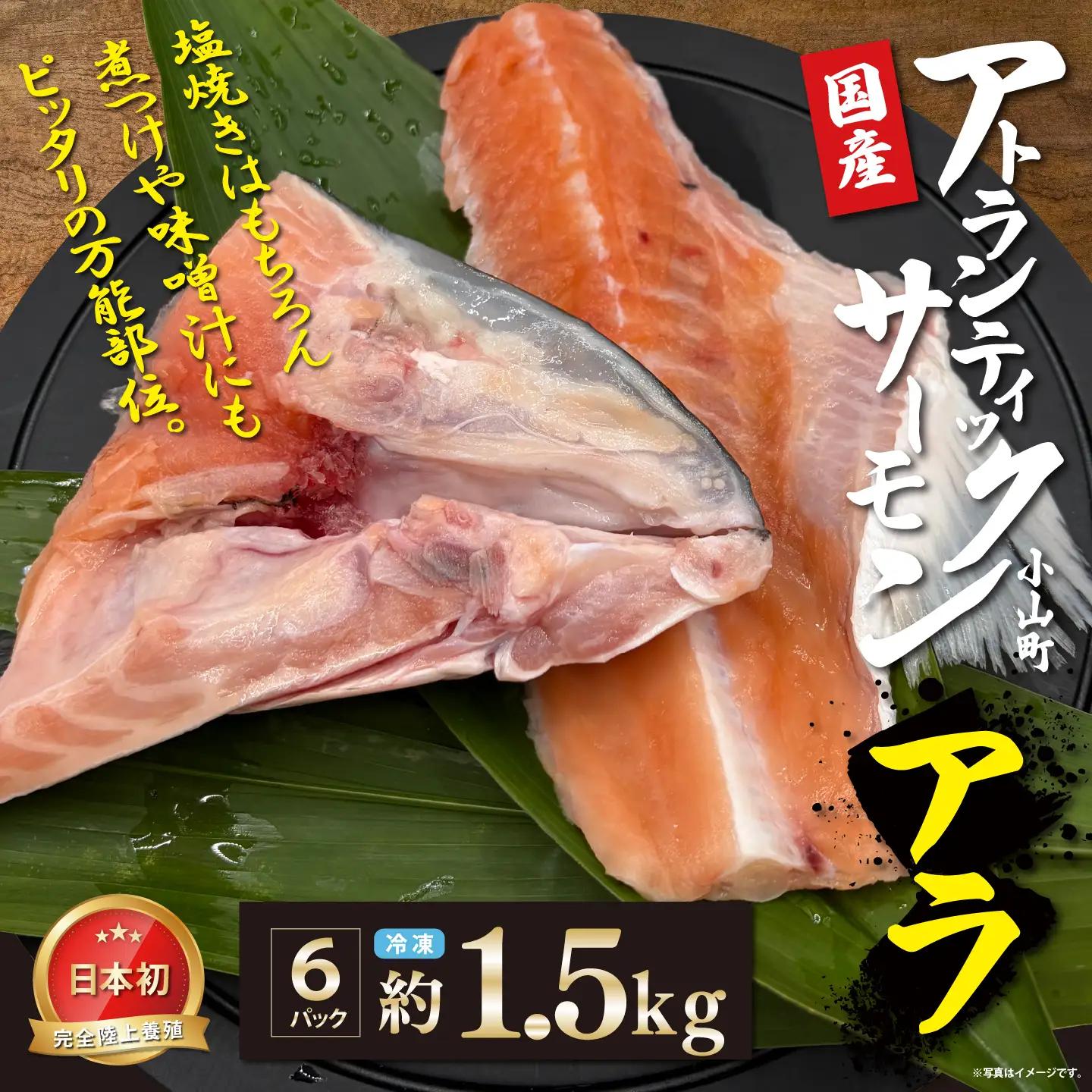 小山町産 アトランティックサーモン アラ×6P 約1.5kg 国産サーモン
