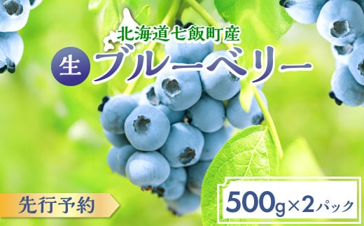 
            【先行予約】 令和7年7月下旬頃より発送  北海道七飯町産 生ブルーベリー 500g×2パック  ふるさと納税 人気 おすすめ ランキング 生ブルーベリー 旬 フルーツ 季節限定 おいしい 甘酸っぱい 北海道 七飯町 送料無料 NAR001
          