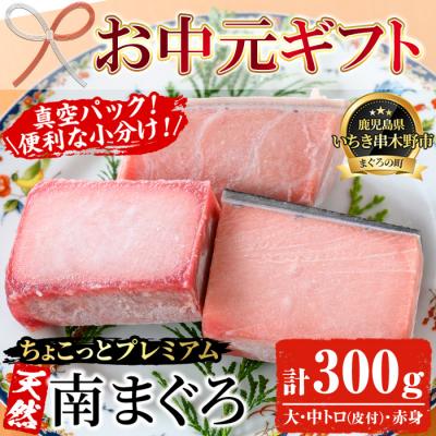 ふるさと納税 いちき串木野市 【お中元】【ちょこっとプレミアム】天然南まぐろフルセット 計約300g