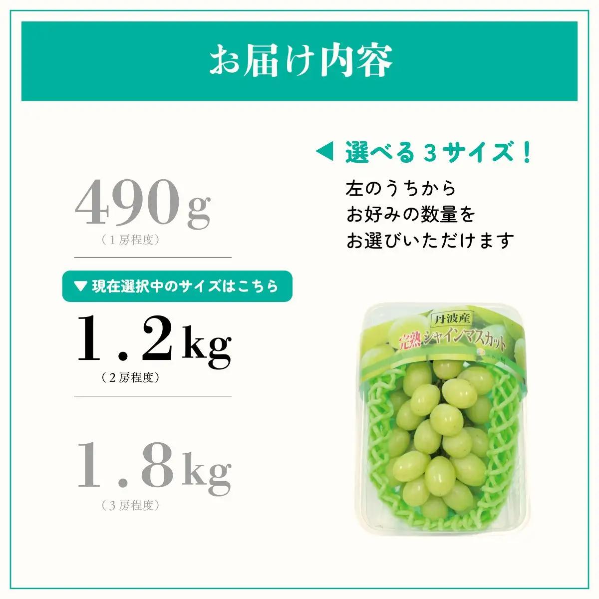 [9月上旬以降順次発送] シャインマスカット 糖度18度以上 完熟シャインマスカット 1.2kg 丹波 ぶどう