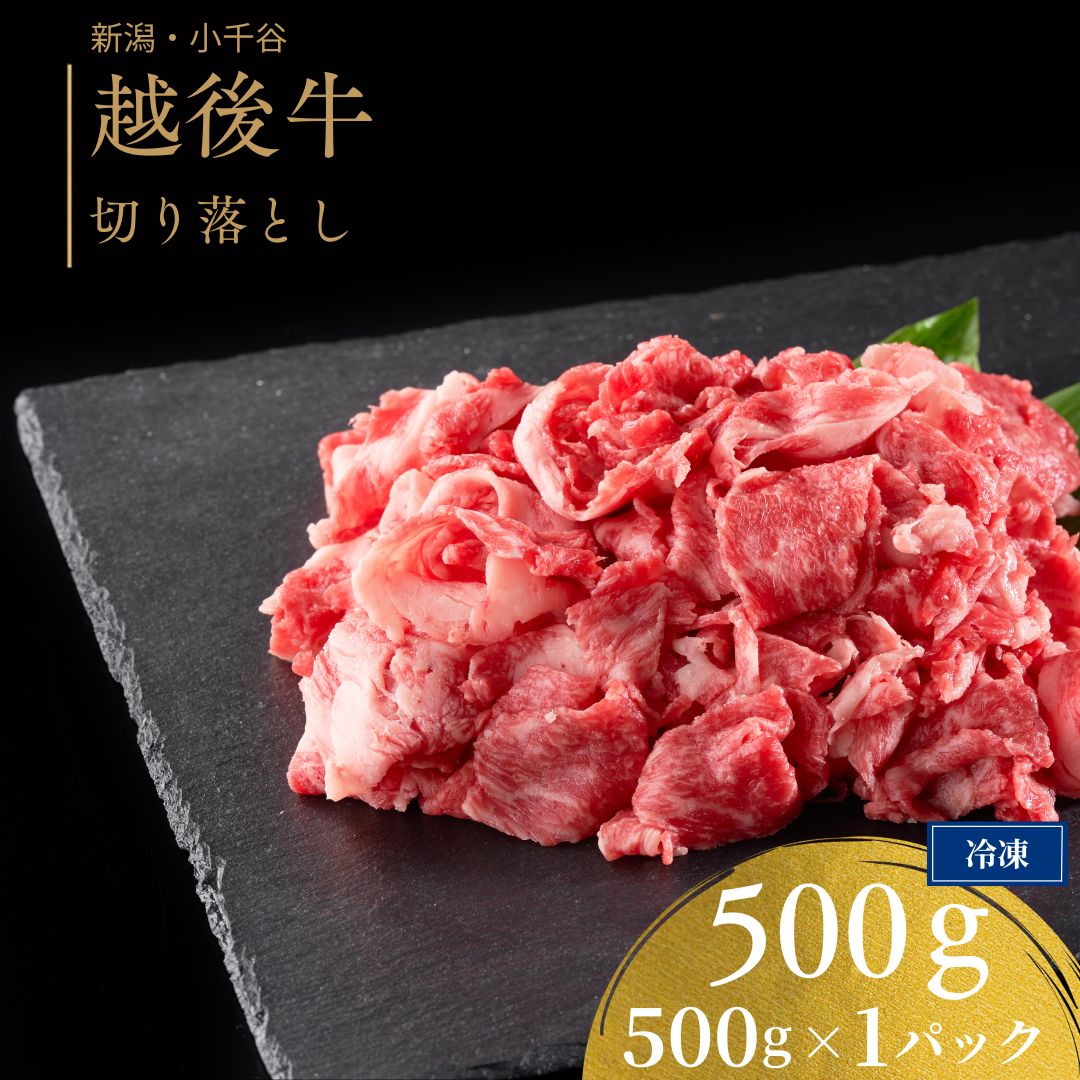 【ふるさと納税】牛切り落とし 越後牛 500g 三国 新潟県産 ブランド牛 国産牛 和牛 牛肉 モモ バラ ロース 肩 冷凍 炒め物 牛丼 肉じゃが 普段使い ギフト 新潟県 小千谷市