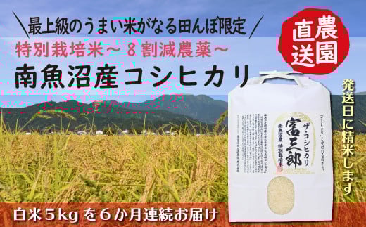 
            【令和７年産新米予約】【６ヶ月定期便】 南魚沼産コシヒカリ　富三郎　 肥沃な大地と八海山の雪解け水が育んだ厳選米 　白米５ｋｇ全６回【2025年10月中旬より順次発送予定】
          