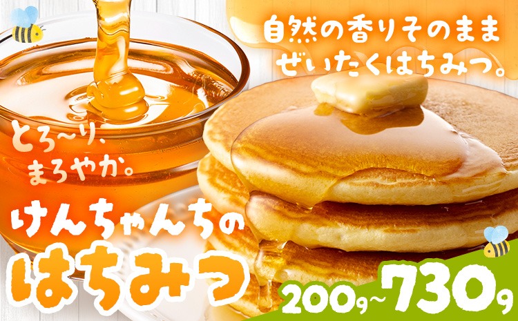 けんちゃんちのはちみつ 選べる 200g 300g 460g 730g《30日以内に出荷予定（土日祝除く）》ふるさと納税 はちみつ ハチミツ 蜂蜜 国産蜂蜜 天然蜜蜂 徳島県 佐那河内村 送料無料---tsm_mkf1_30d_25_6500_200g---