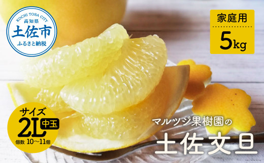 マルツジ果樹園の土佐文旦 家庭用(中玉) 約5kg 5キロ 2Lサイズ 10～11個入り ぶんたん ブンタン フルーツ 柑橘 みかん 果物 くだもの 柑橘類 デザート お取り寄せ 国産