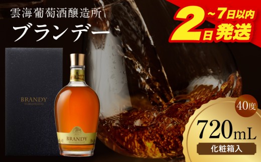 【2～7日以内に発送予定】雲海葡萄酒醸造所 ブランデー 720ml_M375-005-02-1W