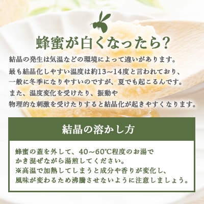 【 数量限定 】国産 生はちみつ【100%純粋】日本みつばち【非加熱・無添加の生蜂蜜】 B3-16