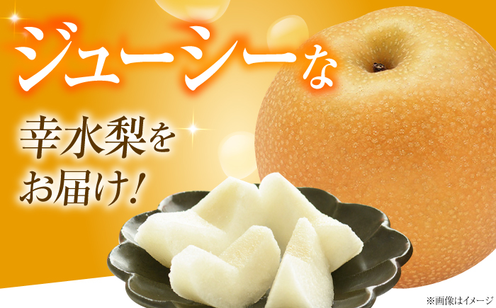 【先行予約】幸水梨(こうすいなし) 8〜10玉入り 〈2026年8月〜発送〉 ／ フルーツ 果物 くだもの 食品 人気 おすすめ 送料無料 梨 なし 幸水梨 梨 季節のフルーツ　／　株式会社内子フレッ